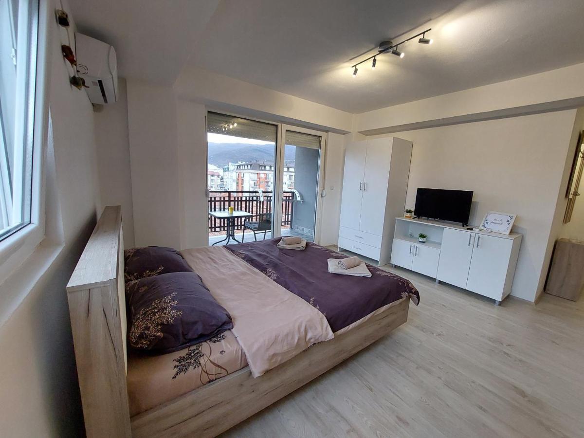 Dzusy Apartment *