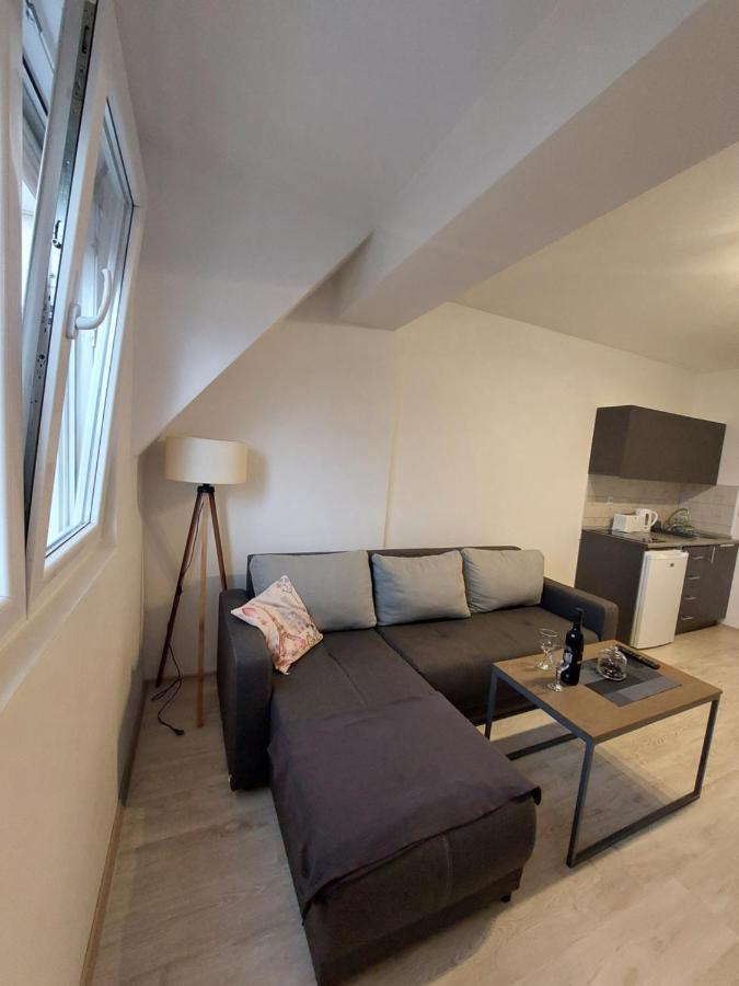 Dzusy Apartment